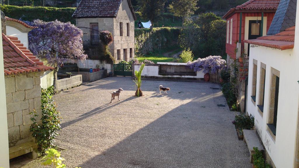 Hotel Quinta Da Ventuzela Cinfães Esterno foto