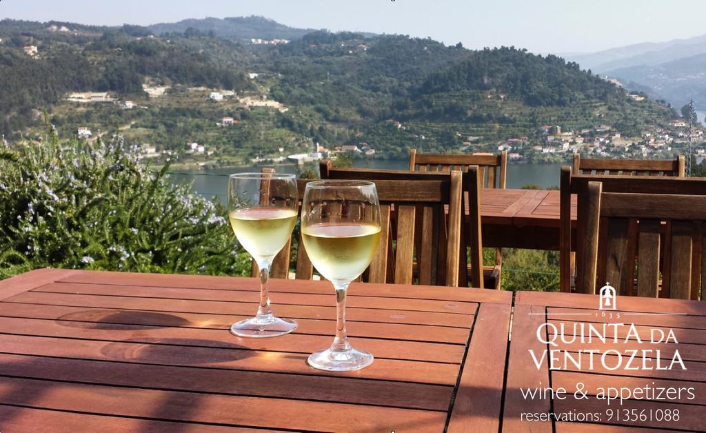 Hotel Quinta Da Ventuzela Cinfães Esterno foto