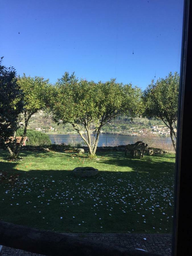 Hotel Quinta Da Ventuzela Cinfães Esterno foto